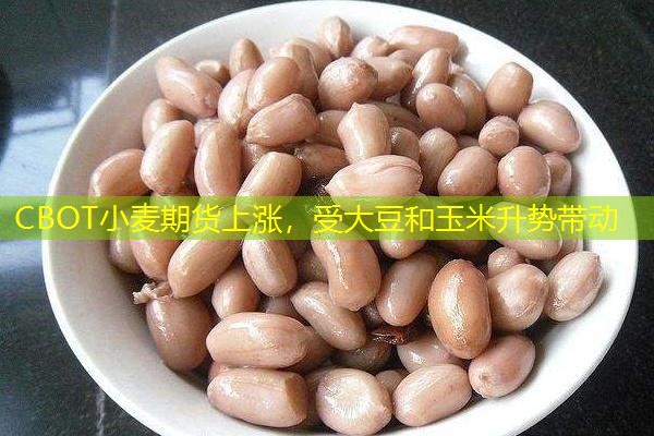 CBOT小麦期货上涨，受大豆和玉米升势带动