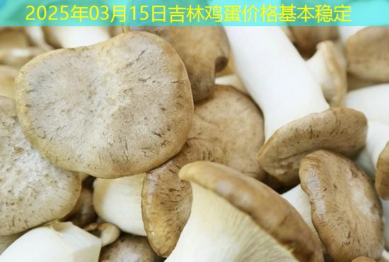 2025年03月15日吉林鸡蛋价格基本稳定