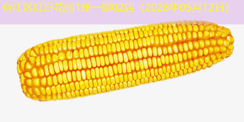 台江区红日花园1座一层02店（2026年05月12日）