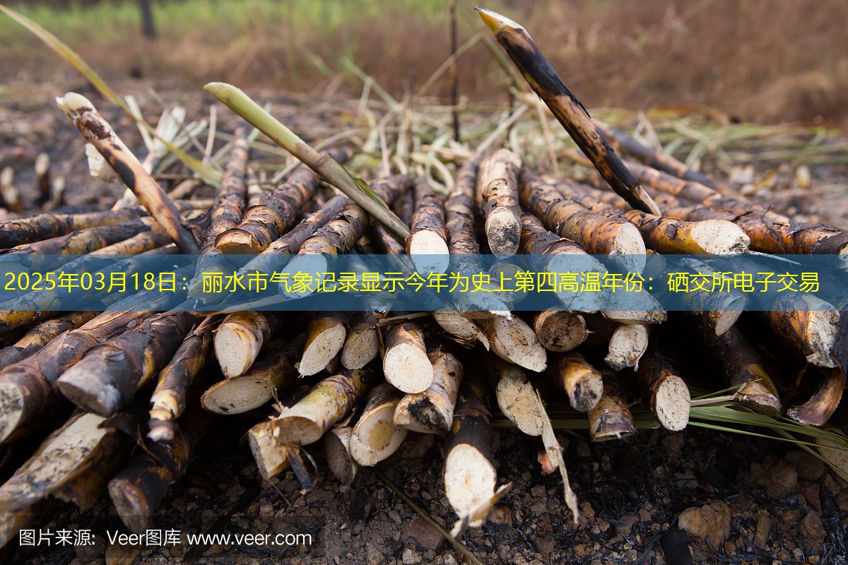 2025年03月18日：丽水市气象记录显示今年为史上第四高温年份