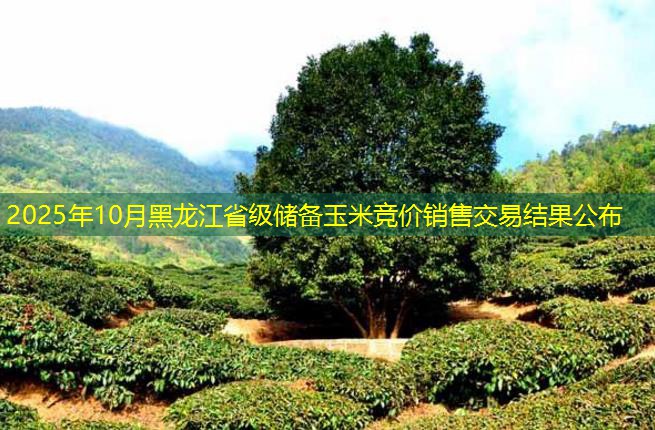 2025年10月黑龙江省级储备玉米竞价销售交易结果公布