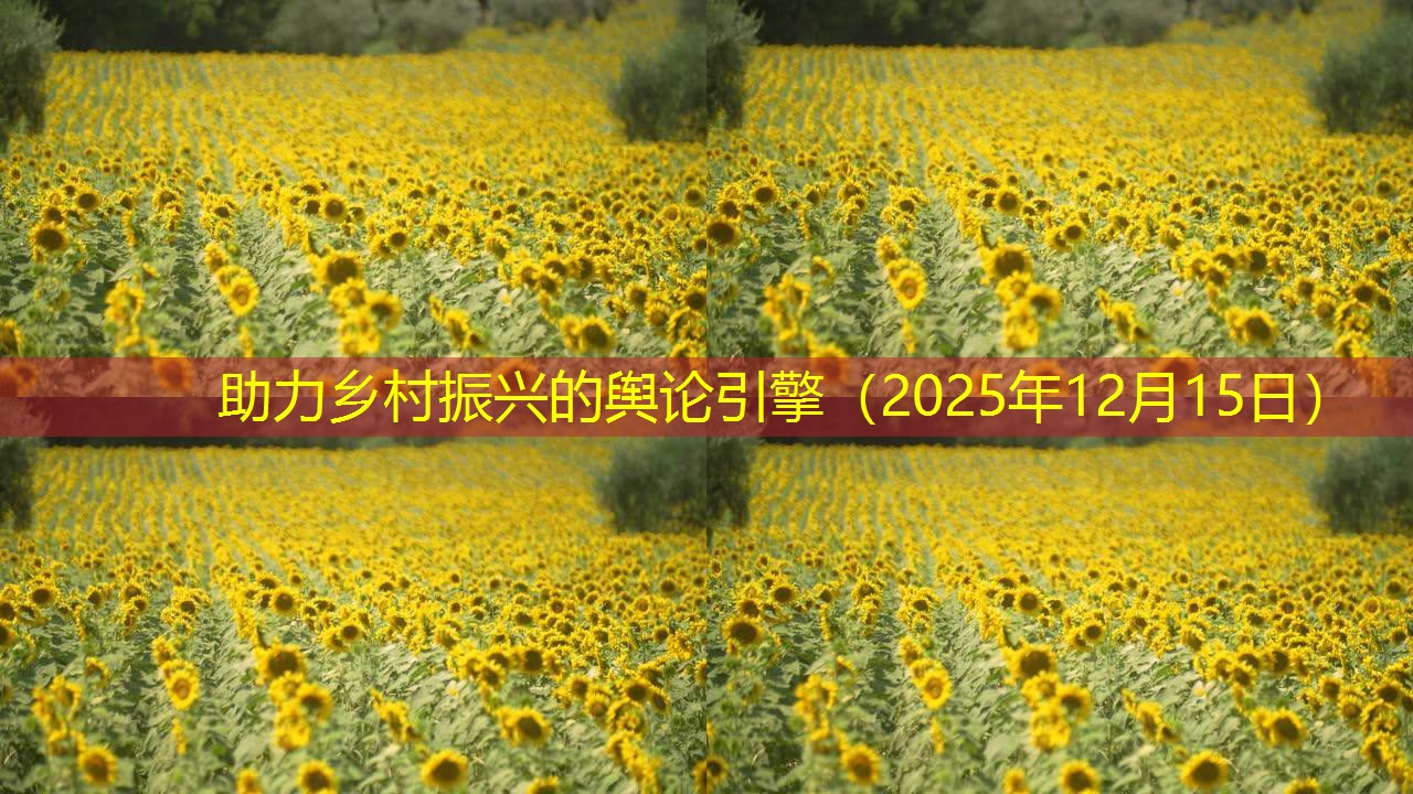 助力乡村振兴的舆论引擎（2025年12月15日）
