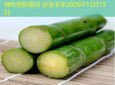 绿色创新驱动 农业未来2025年12月15日