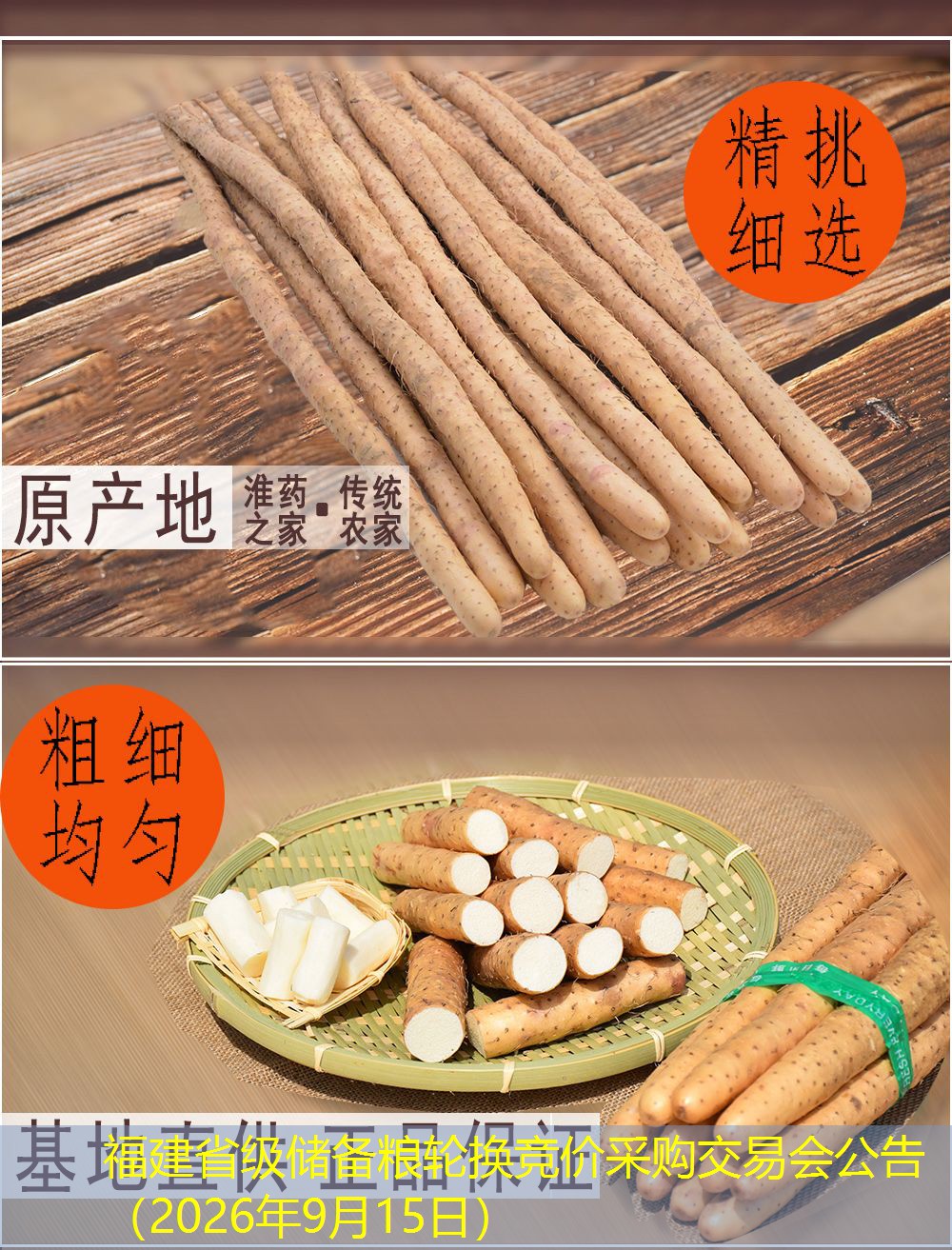 福建省级储备粮轮换竞价采购交易会公告（2026年9月15日）