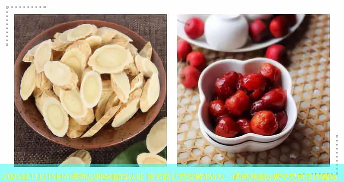 2025年11月15日小麦新品种获国审认证 技术转让费突破455万