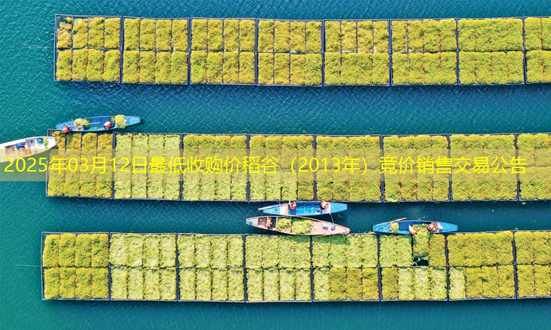2025年03月12日最低收购价稻谷（2013年）竞价销售交易公告