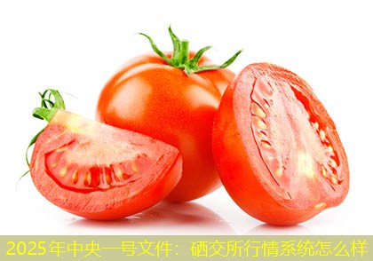 2025年中央一号文件