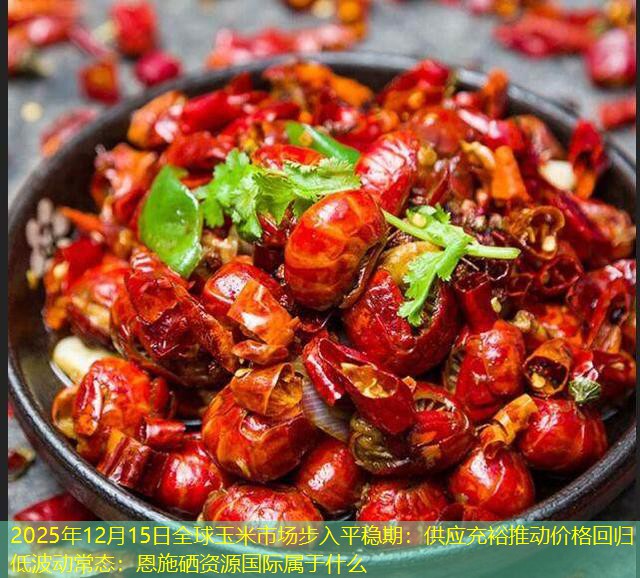 2025年12月15日全球玉米市场步入平稳期：供应充裕推动价格回归低波动常态