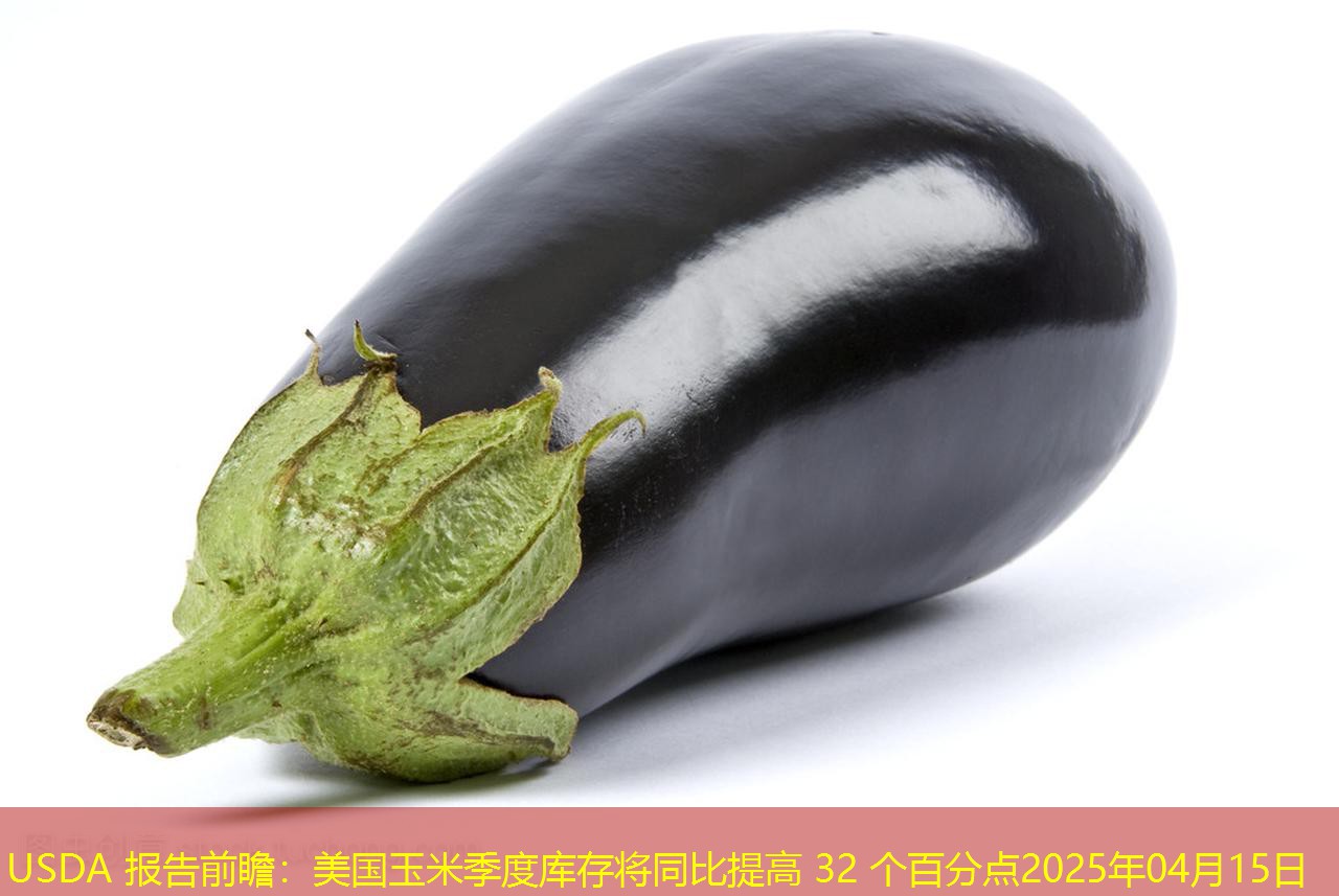 USDA 报告前瞻：美国玉米季度库存将同比提高 32 个百分点2025年04月15日