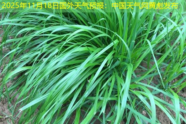 2025年11月18日国外天气预报：中国天气网黄彪发布