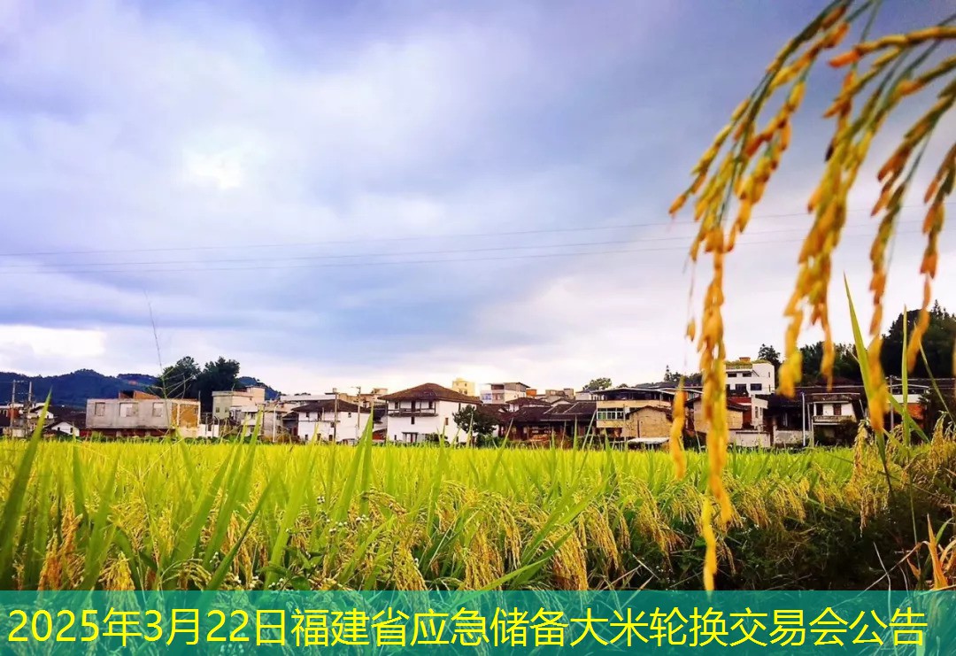 2025年3月22日福建省应急储备大米轮换交易会公告