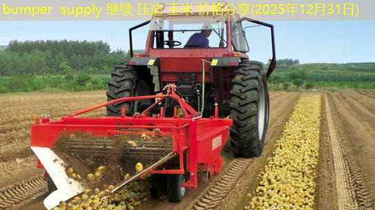 bumper supply 继续 压迫 玉米 价格分享(2025年12月31日)