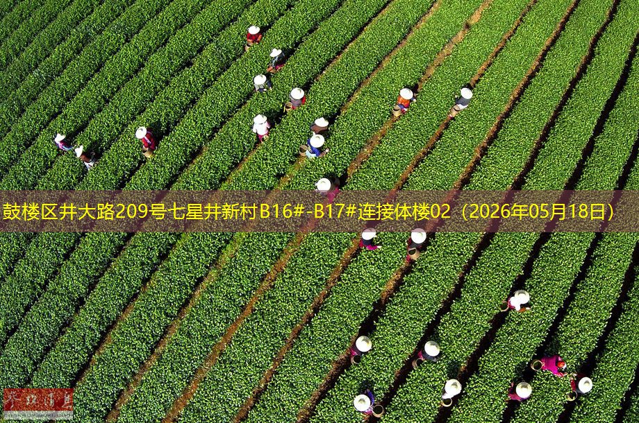 鼓楼区井大路209号七星井新村B16#-B17#连接体楼02（2026年05月18日）