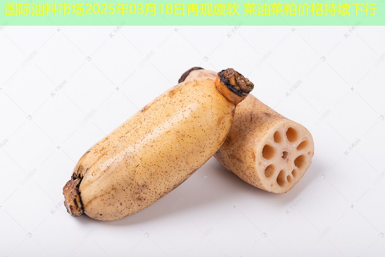 国际油料市场2025年03月18日再现疲软 菜油菜粕价格持续下行
