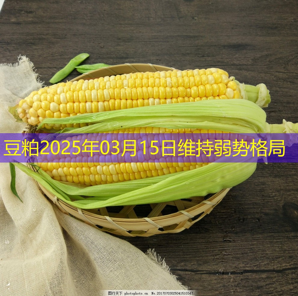 豆粕2025年03月15日维持弱势格局