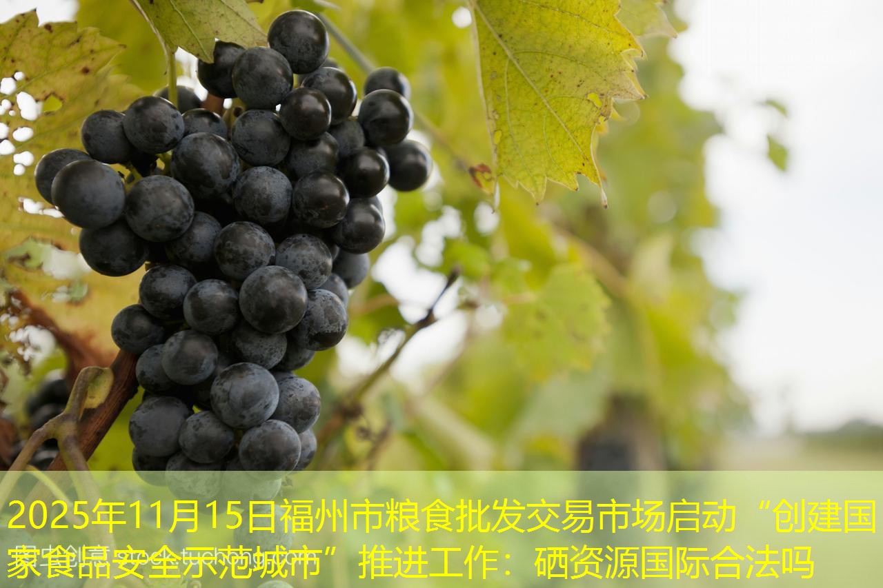 2025年11月15日福州市粮食批发交易市场启动“创建国家食品安全示范城市”推进工作