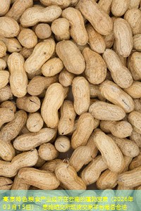 高原特色粮食产业经济在云南的蓬勃发展（2026年03月15日）