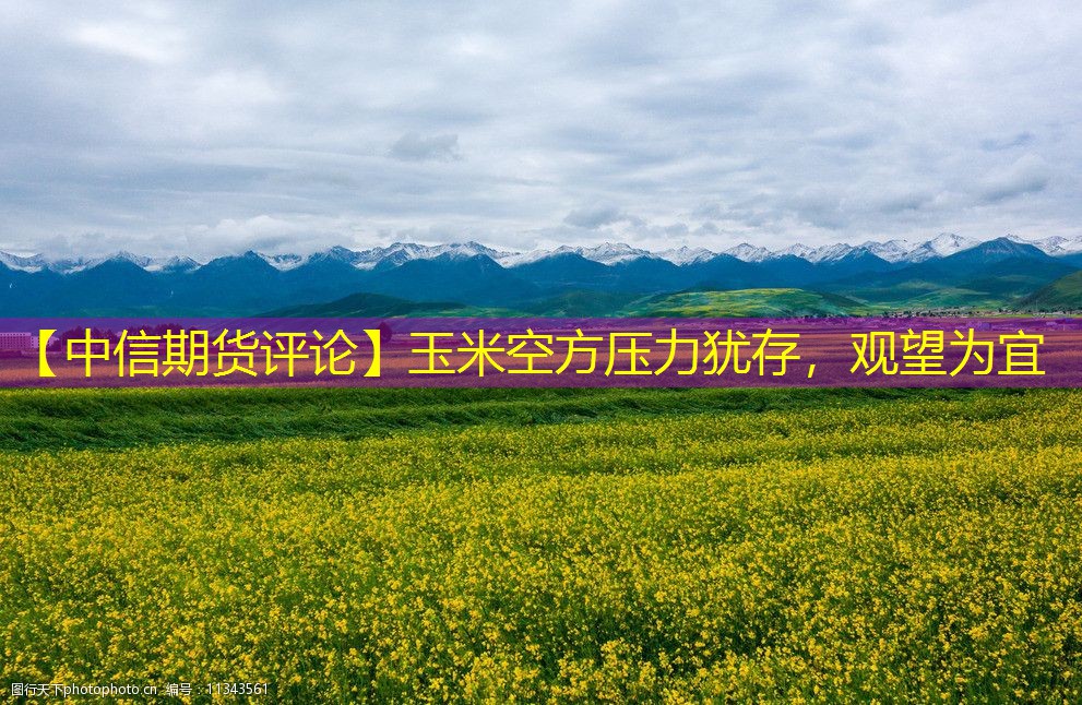 【中信期货评论】玉米空方压力犹存，观望为宜