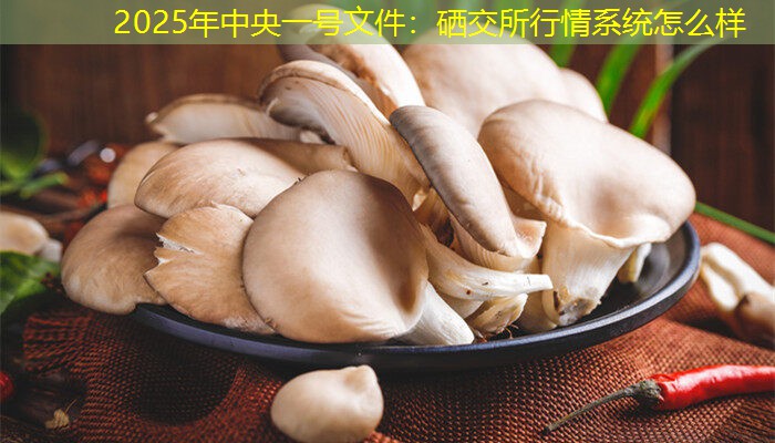 2025年中央一号文件