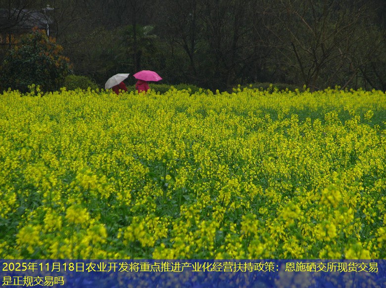 2025年11月18日农业开发将重点推进产业化经营扶持政策