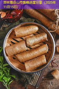 吉林省白山市售粮进度分享（2025年11月15日）