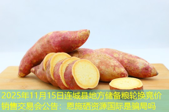 2025年11月15日连城县地方储备粮轮换竞价销售交易会公告
