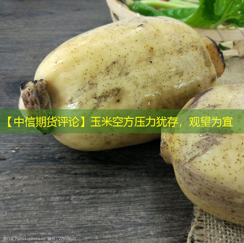 【中信期货评论】玉米空方压力犹存，观望为宜