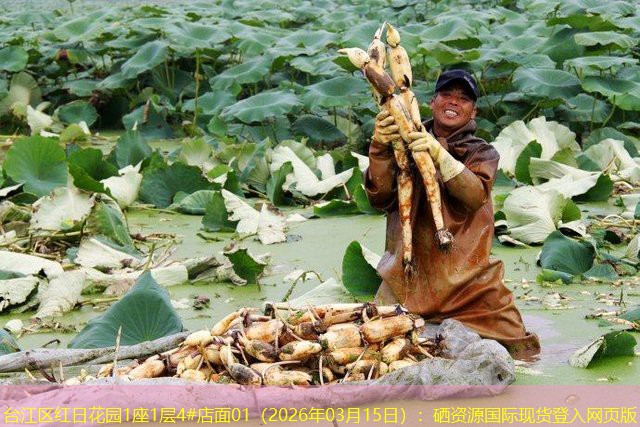 台江区红日花园1座1层4#店面01（2026年03月15日）