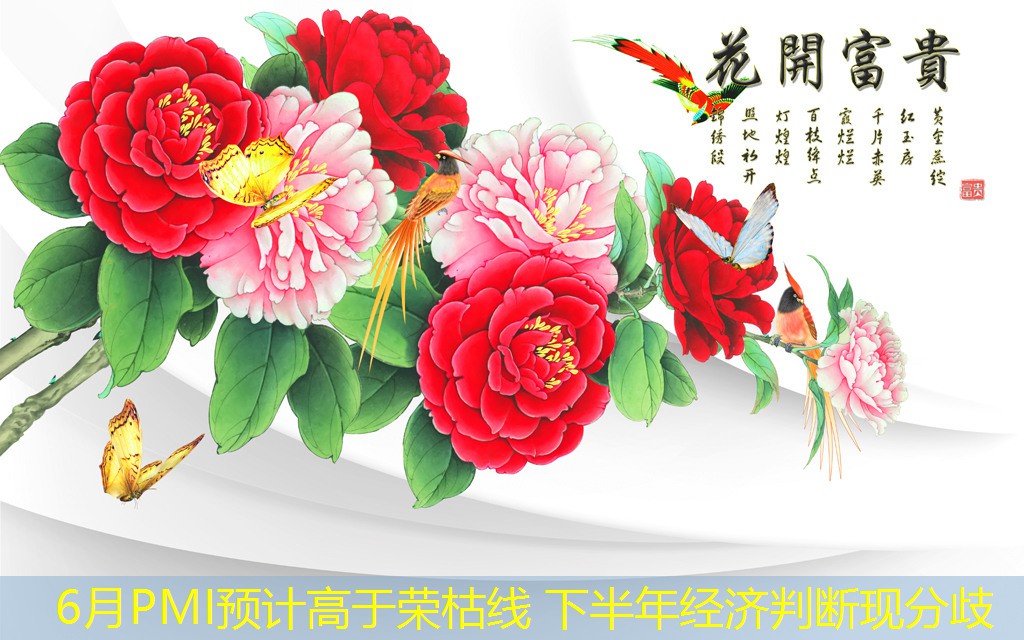 6月PMI预计高于荣枯线 下半年经济判断现分歧