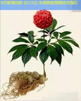 9月新增贷款 8572亿 市场降息预期依然强烈