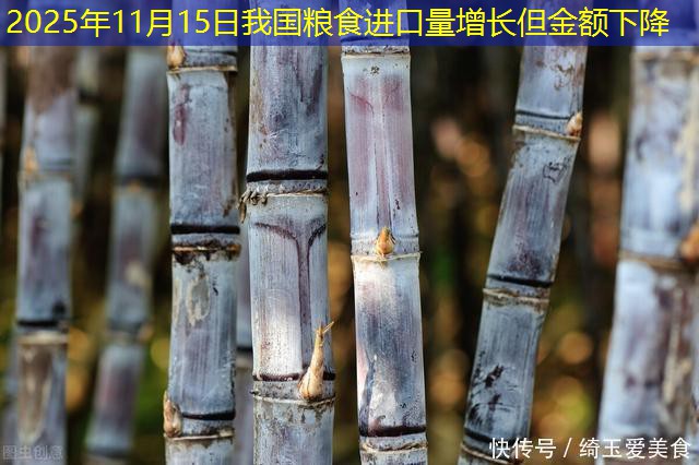 2025年11月15日我国粮食进口量增长但金额下降