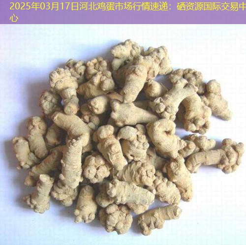 2025年03月17日河北鸡蛋市场行情速递