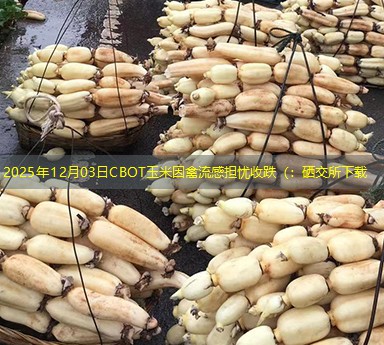 2025年12月03日CBOT玉米因禽流感担忧收跌（