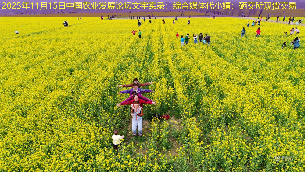 2025年11月15日中国农业发展论坛文字实录：综合媒体代小婧