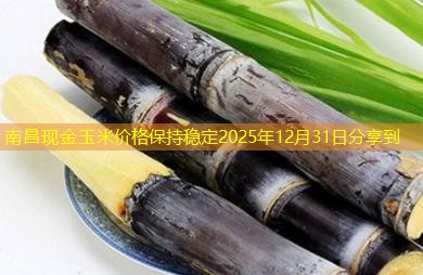 南昌现金玉米价格保持稳定2025年12月31日分享到