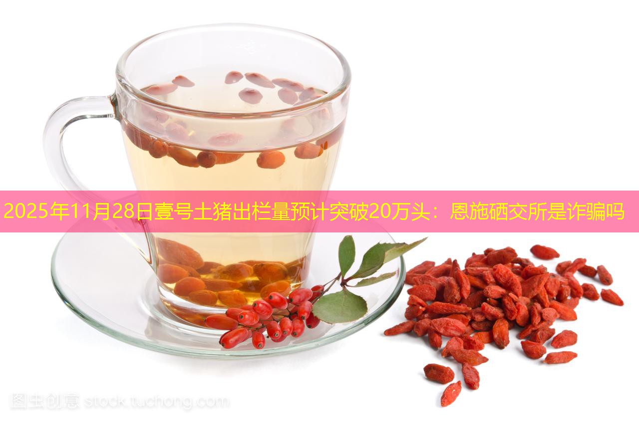 2025年11月28日壹号土猪出栏量预计突破20万头