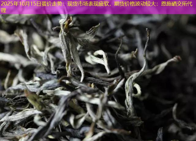 2025年10月15日蛋价走势：现货市场表现疲软，期货价格波动较大