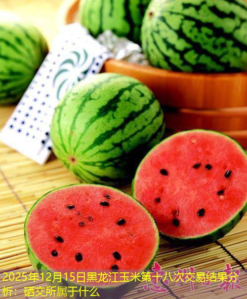 2025年12月15日黑龙江玉米第十八次交易结果分析