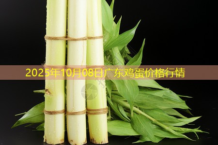 2025年10月08日广东鸡蛋价格行情