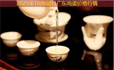 2025年10月08日广东鸡蛋价格行情