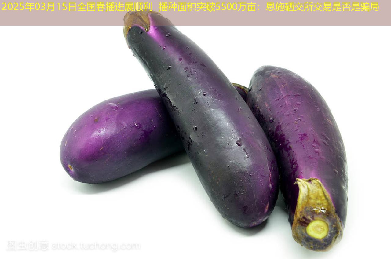 2025年03月15日全国春播进展顺利 播种面积突破5500万亩