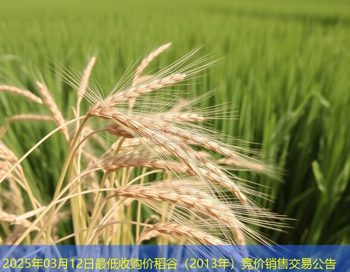2025年03月12日最低收购价稻谷（2013年）竞价销售交易公告