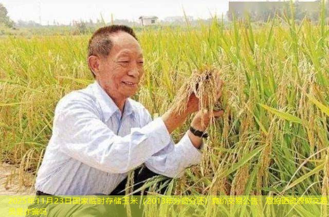 2025年11月23日国家临时存储玉米（2013年分贷分还）竞价交易公告