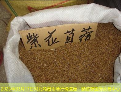 2025年03月17日河北鸡蛋市场行情速递