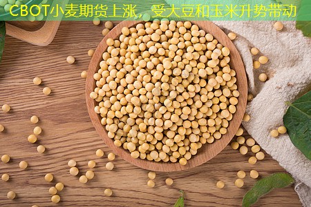 CBOT小麦期货上涨，受大豆和玉米升势带动