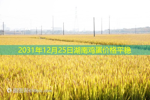 2031年12月25日湖南鸡蛋价格平稳