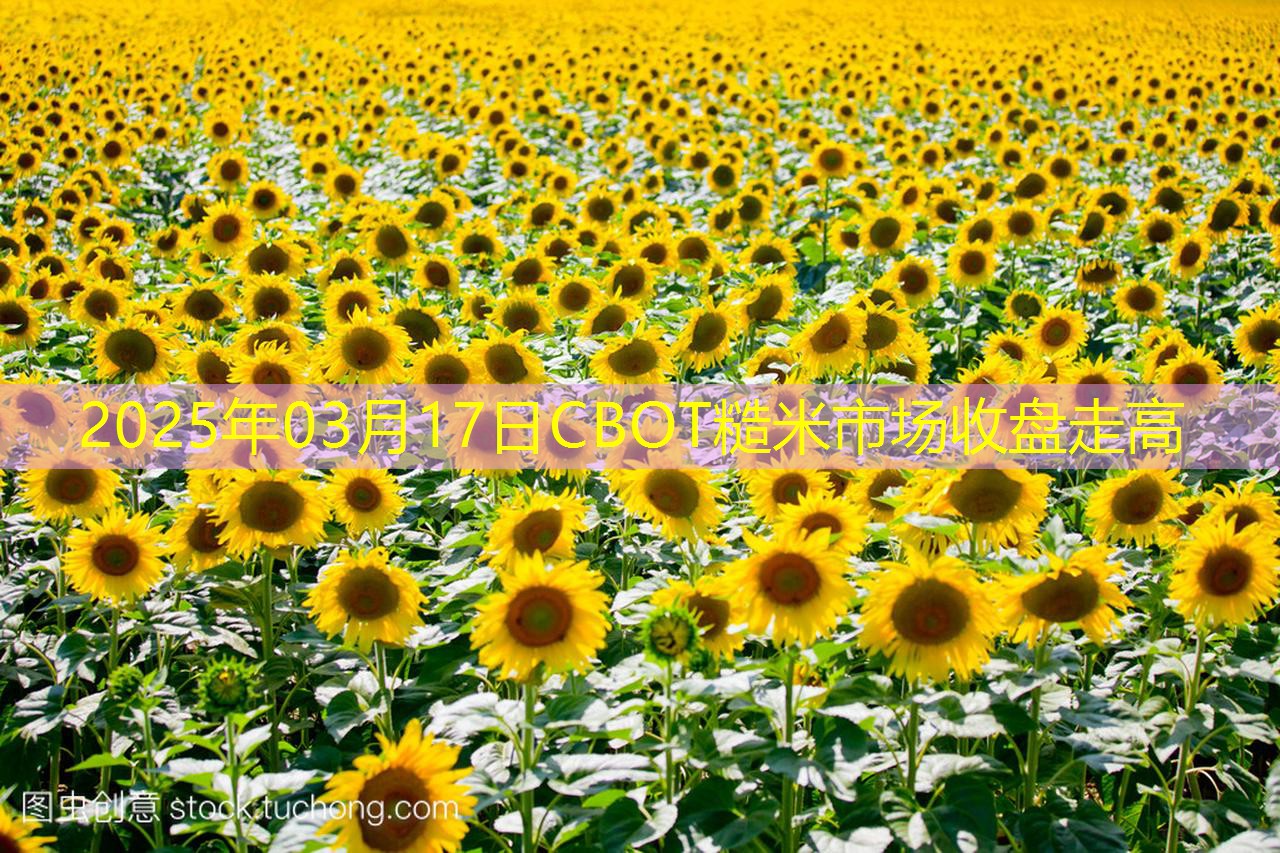 2025年03月17日CBOT糙米市场收盘走高