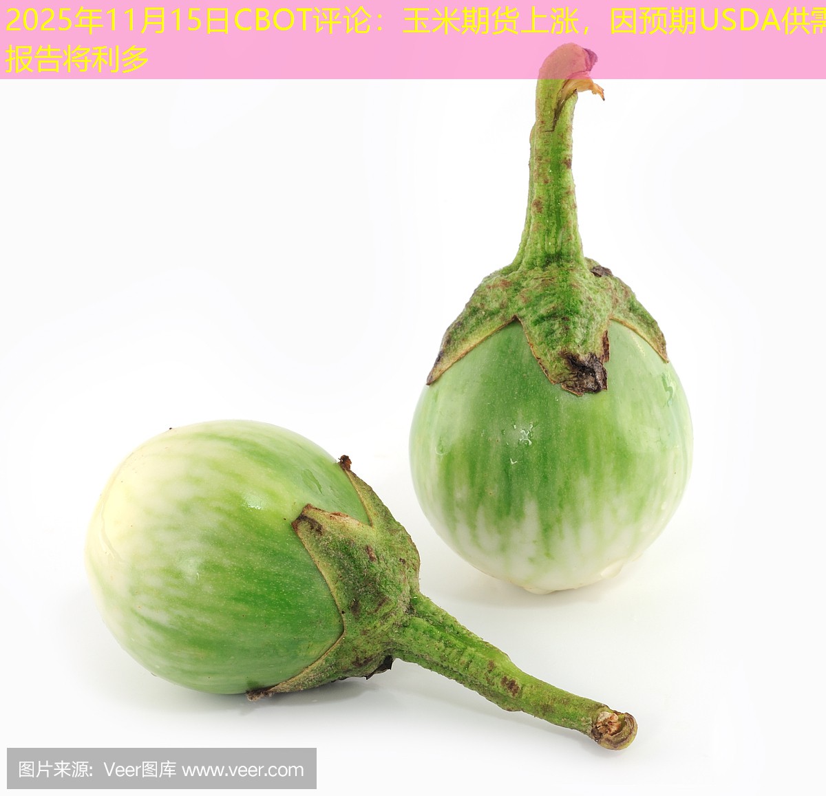 2025年11月15日CBOT评论：玉米期货上涨，因预期USDA供需报告将利多