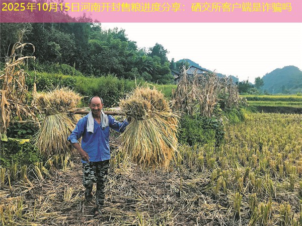 2025年10月15日河南开封售粮进度分享