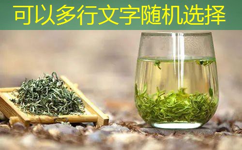 2025年11月15日：中央一号文件聚焦农业发展新方向